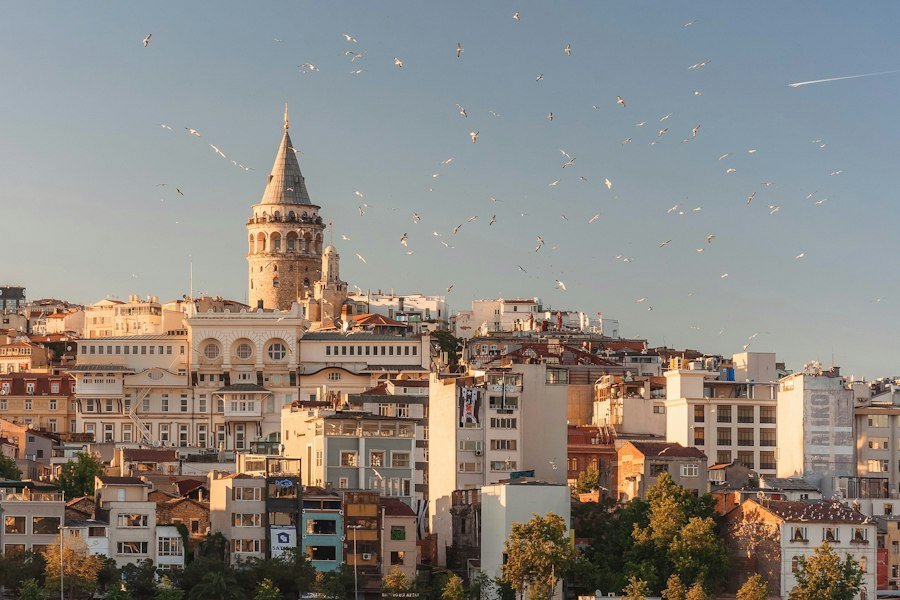 Yabancılar, Vatandaşlık & Uluslararası Yatırım Hukuku